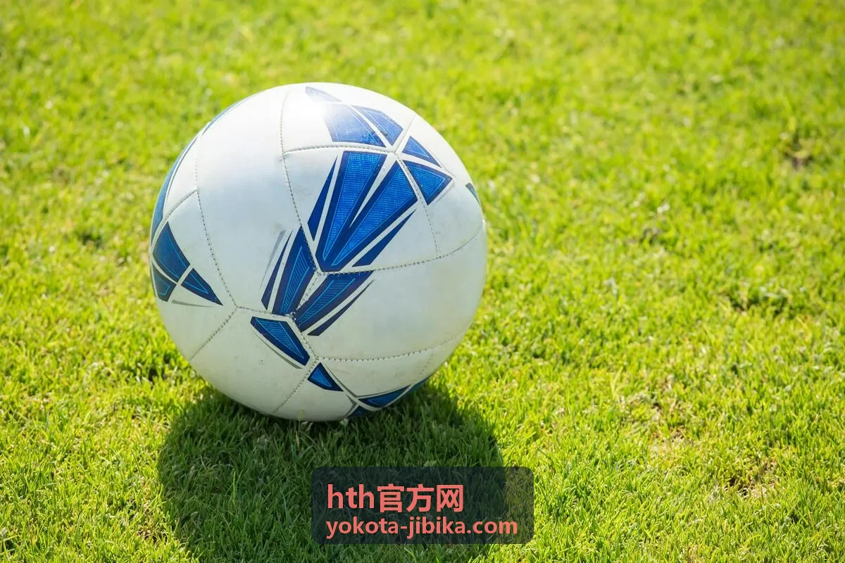 hth官方网 使用疑问处理方式